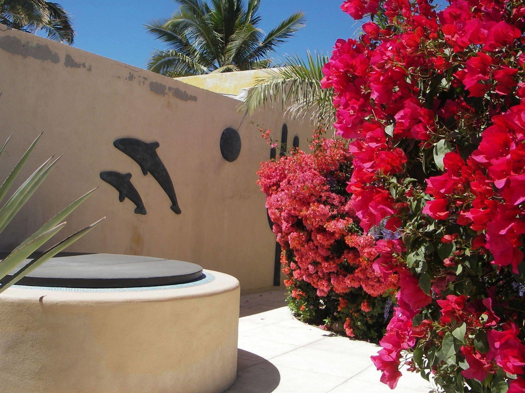 Casa Kootenay Waterfront Bnb La Paz Bagian luar foto